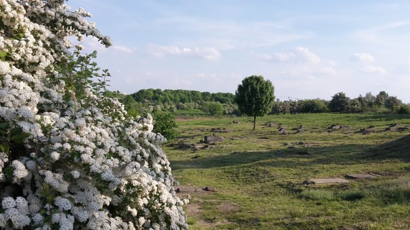 Płaszów zwiedzanie z przewodnikiem