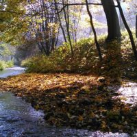 Zwiedzanie ojcowskieg parku narodowego