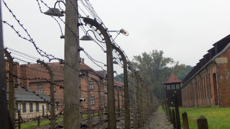 Galeria Muzeum Auschwitz