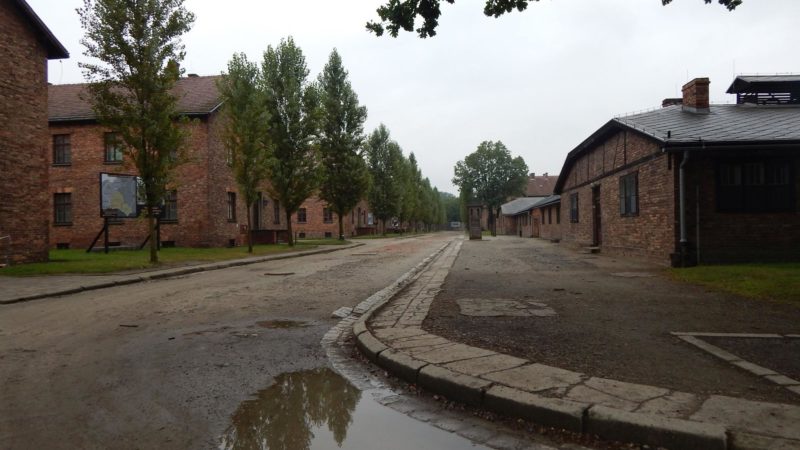Auschwitz z przewodnikiem